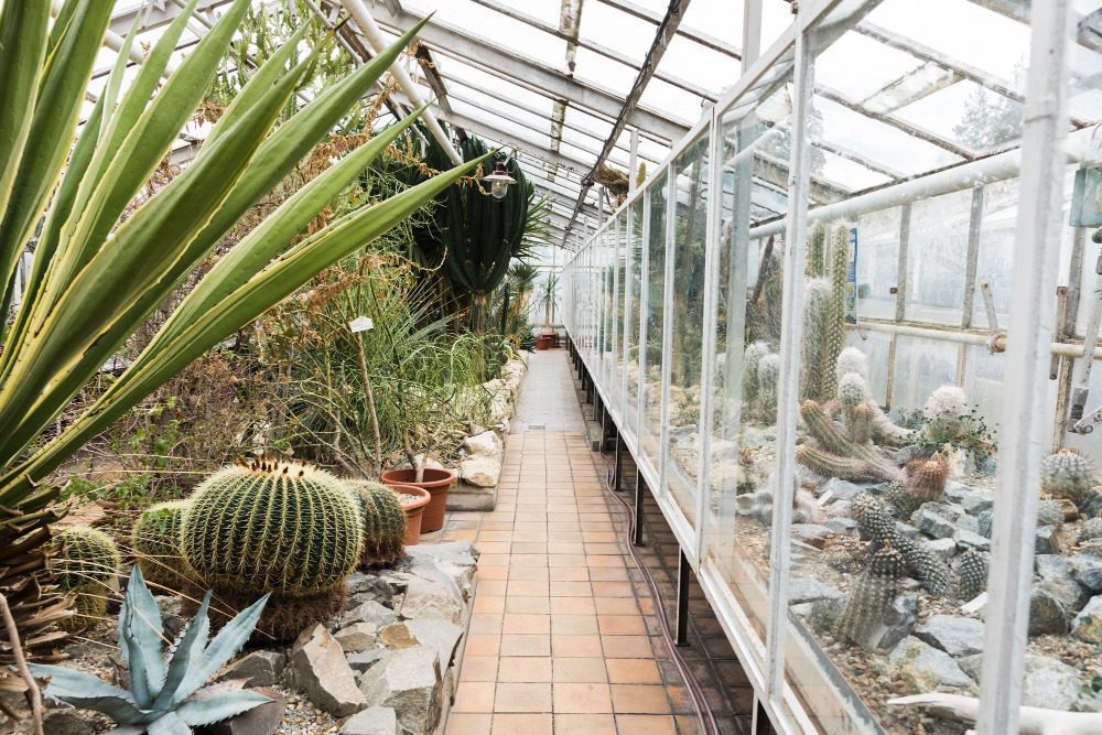 Алюминиевые конструкции для строительства зимнего сада 7 Алюминиевые конструкции для строительства зимнего сада