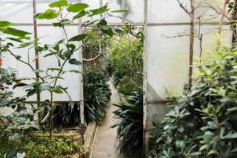 Алюминиевые конструкции для строительства зимнего сада