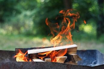 Можно ли жечь мусор на своем участке - что говорит закон?