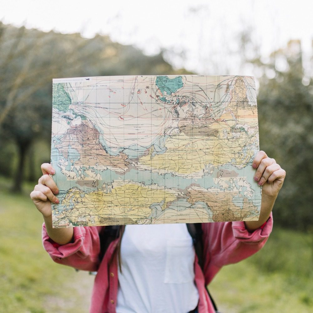 Как взять делянку леса для вырубки? 6 Как взять делянку леса для вырубки?