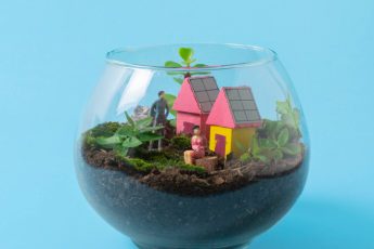 Как купить земельный участок на материнский капитал в [year] году?