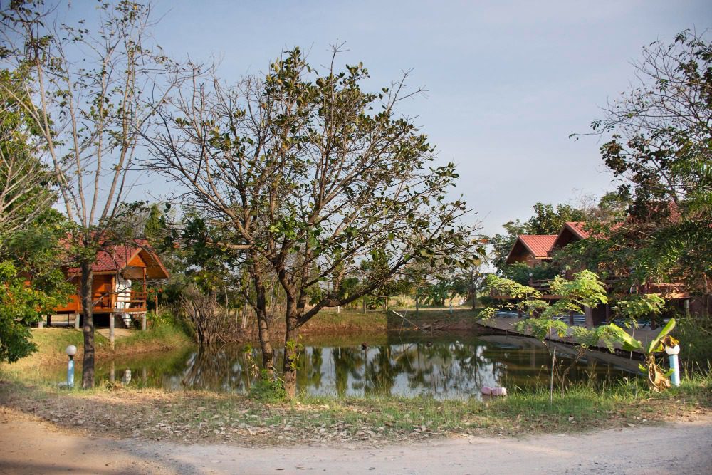 Пруд на своем участке - что говорит закон?