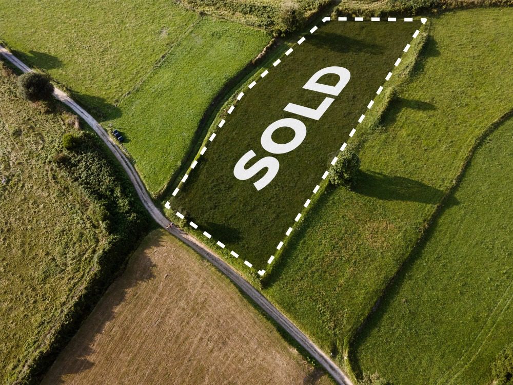 Как продать пай земли сельхозназначения 1 Как продать пай земли сельхозназначения