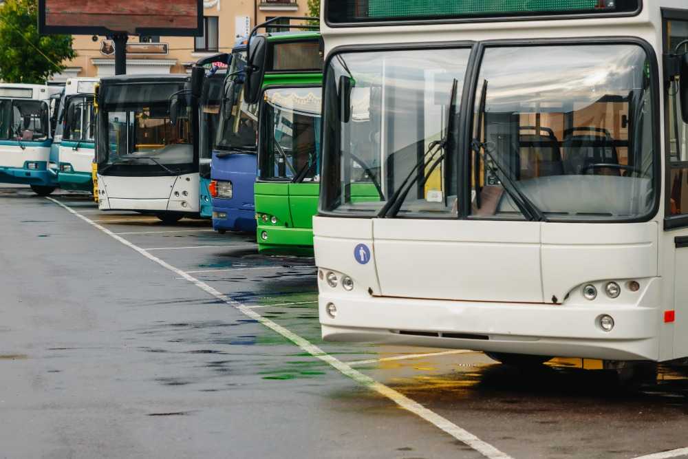 Что обозначает в правах категория?